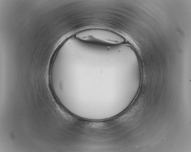 X0000115820845200912111249