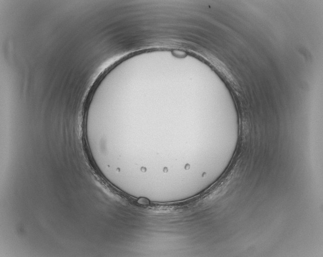 X0000115820846200912111249