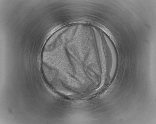 X0000115820850200912111249