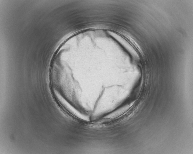 X0000115820853200912111250