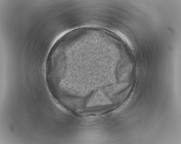 X0000115820854200912111250