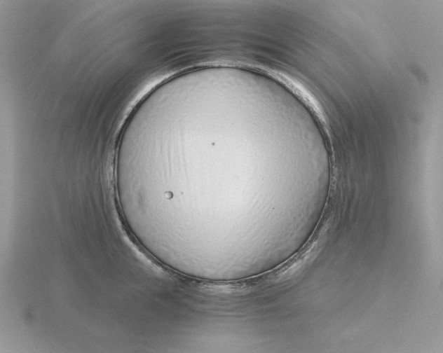 X0000115820855200912111250