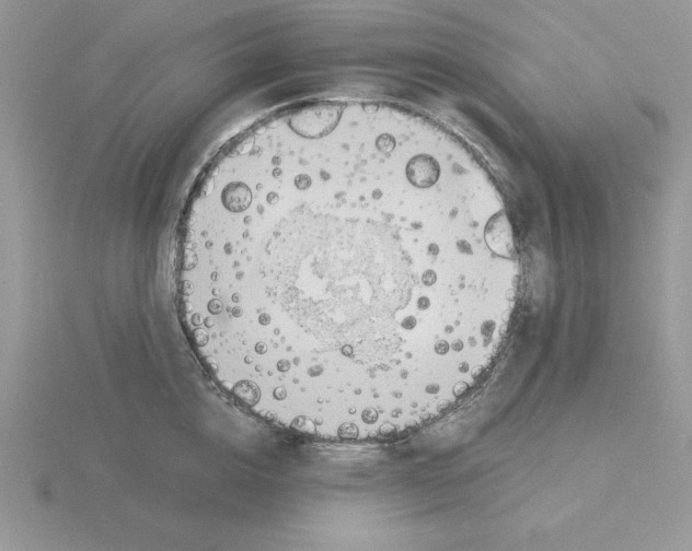 X0000115820856200912111250