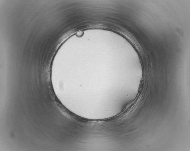 X0000115820858200912111250