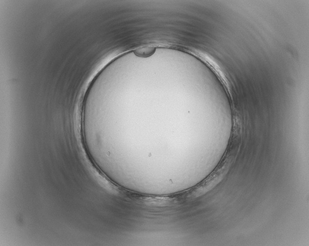 X0000115820859200912111250