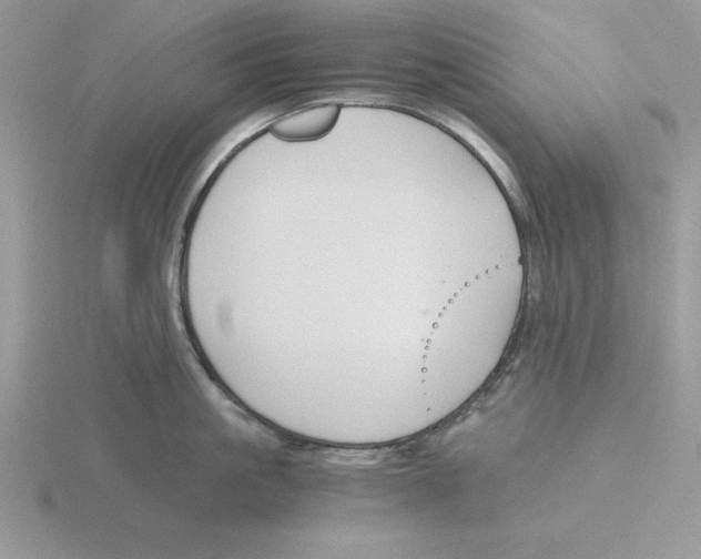 X0000115820861200912111250