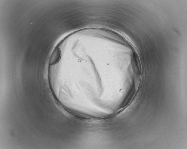 X0000115820862200912111250