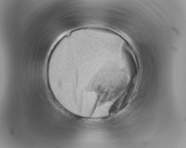 X0000115820864200912111250