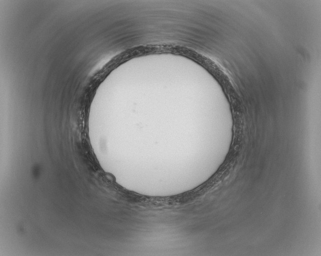 X0000115820871200912111249