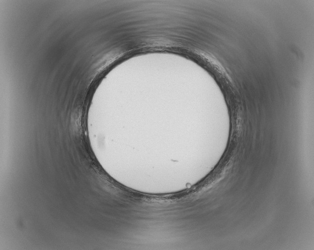 X0000115820873200912111249