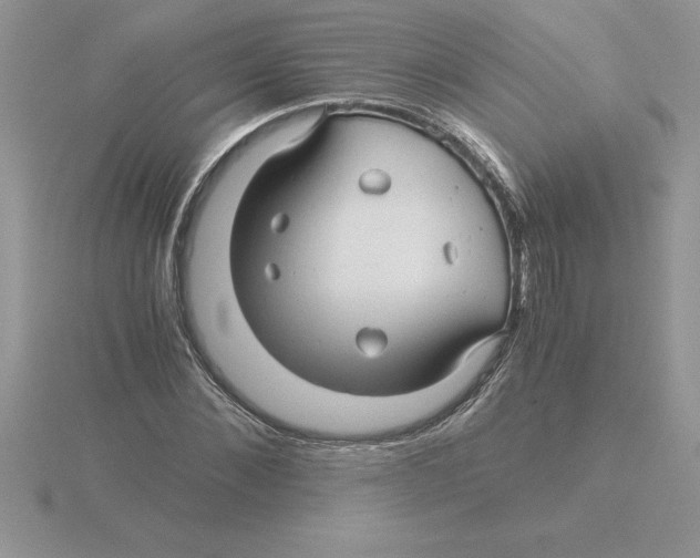 X0000115820876200912111249