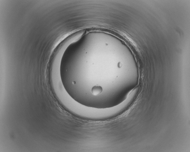 X0000115820877200912111249