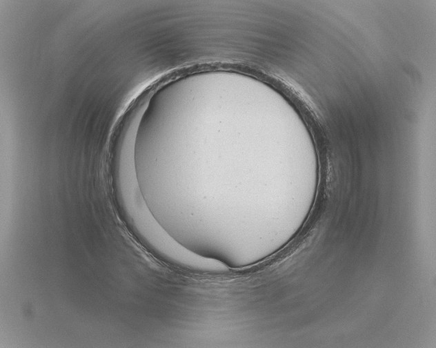 X0000115820878200912111249