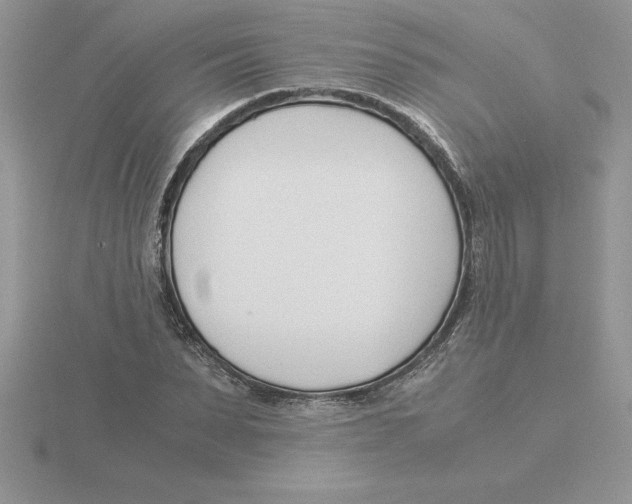 X0000115820879200912111249