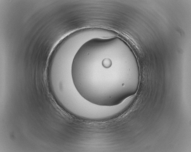 X0000115820880200912111249