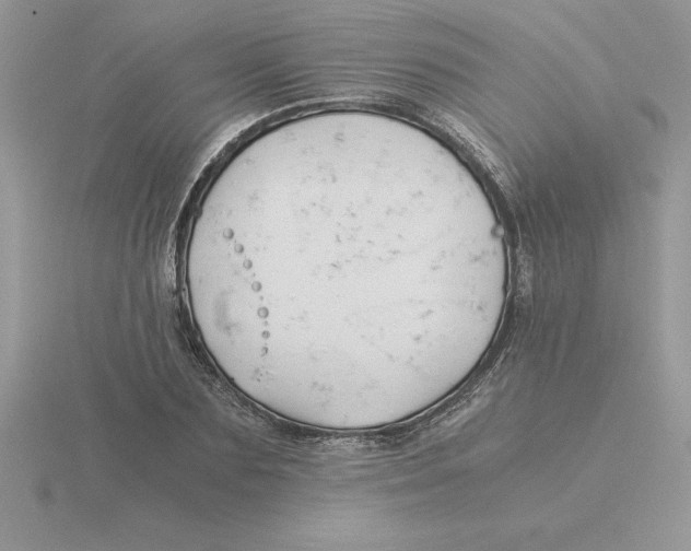 X0000115820883200912111249