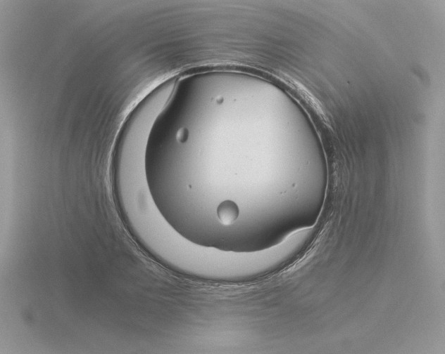 X0000115820885200912111249