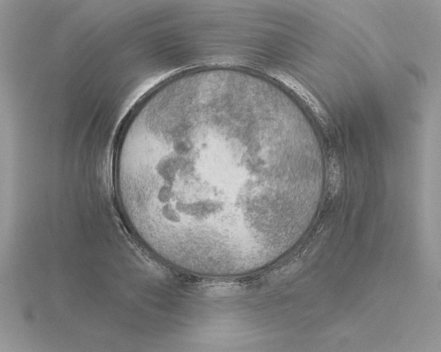 X0000115820886200912111249