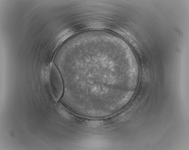 X0000115820889200912111249