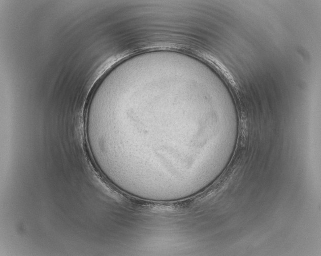 X0000115820890200912111249