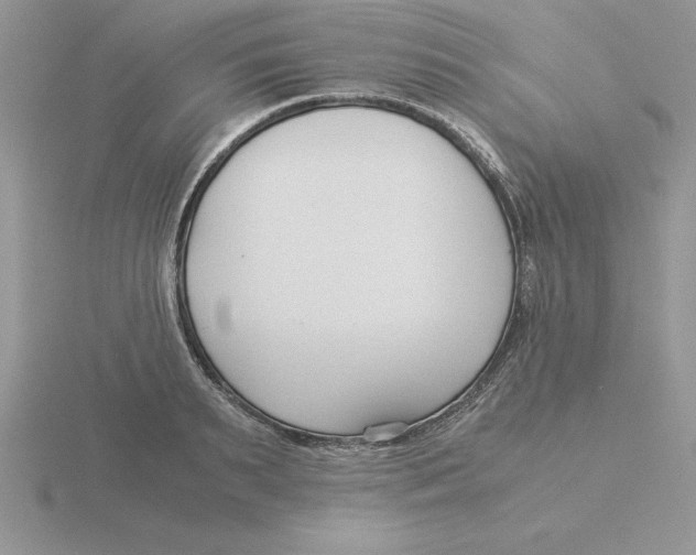 X0000115820895200912111248