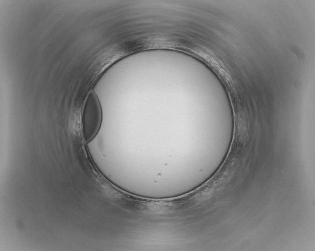 X0000115820897200912111248