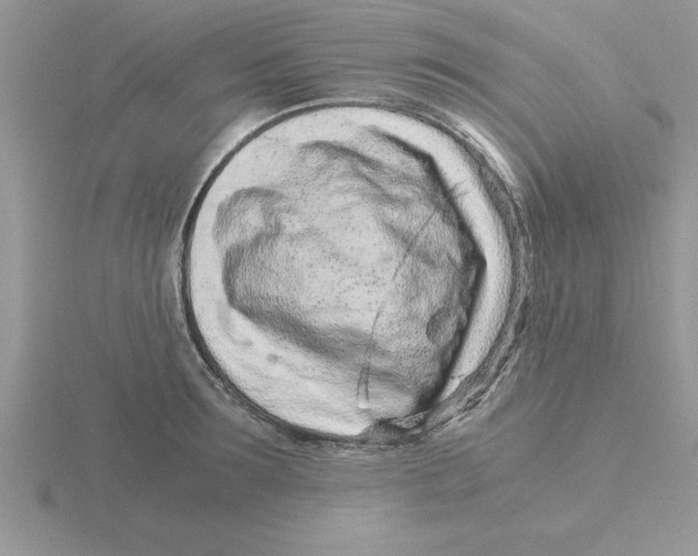 X0000115820899200912111248