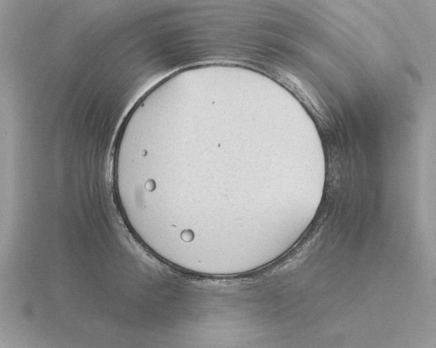 X0000115820900200912111248