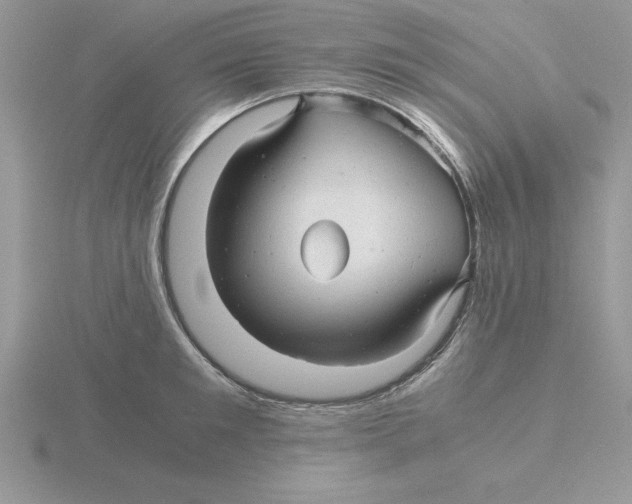 X0000115820901200912111248