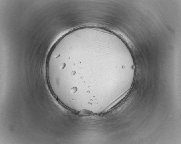 X0000115820902200912111248