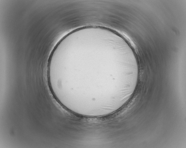 X0000115820903200912111248