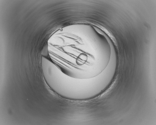 X0000115820905200912111248