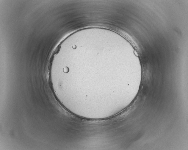 X0000115820908200912111248