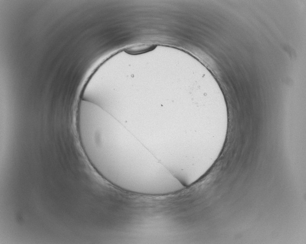 X0000115820912200912111248