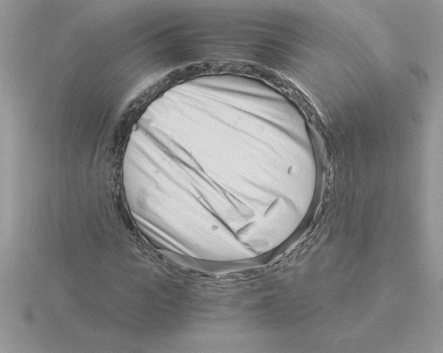 X0000115820919200912111248