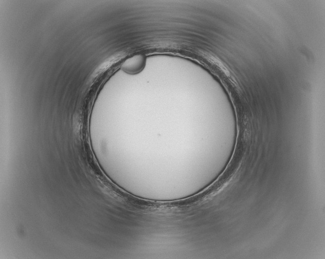 X0000115820922200912111248