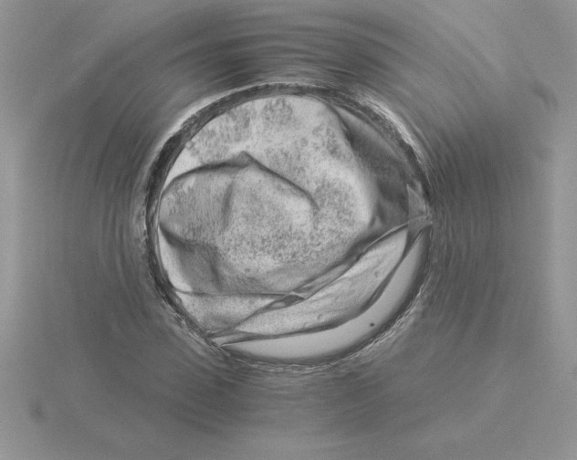 X0000115820923200912111248