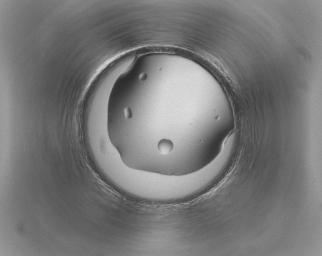 X0000115820926200912111248