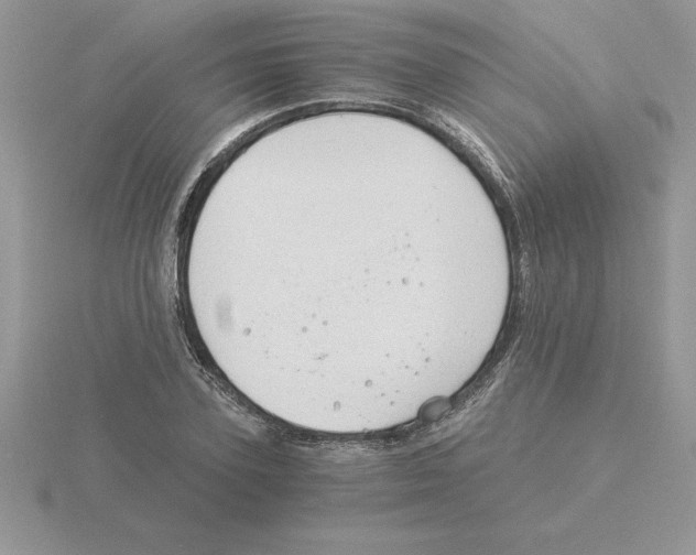 X0000115820931200912111248