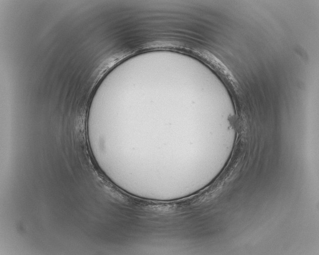 X0000115820937200912111248