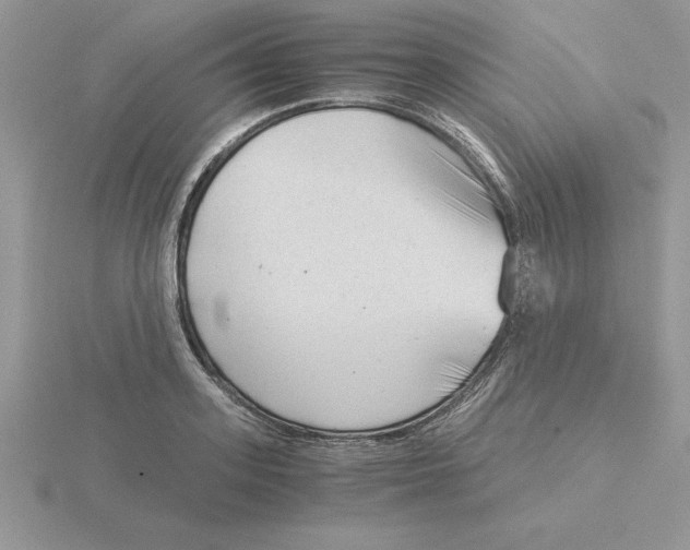 X0000115820939200912111248