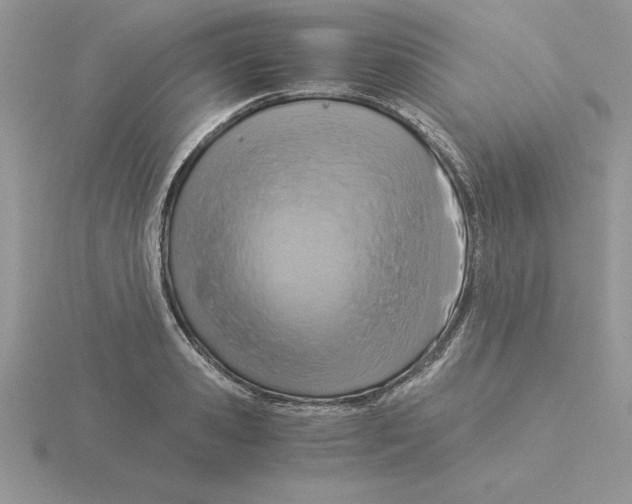 X0000115820941200912111248