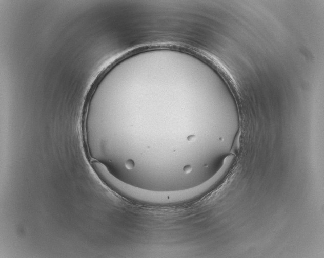 X0000115820943200912111248