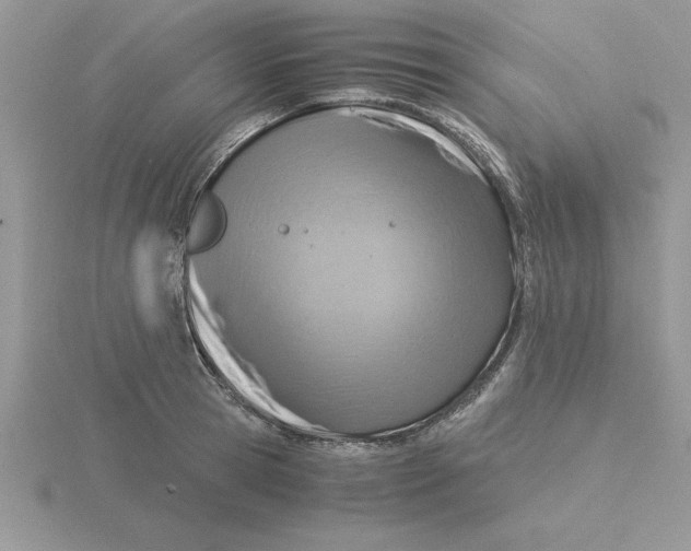 X0000115820945200912111248