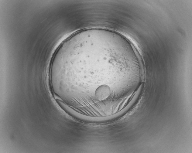 X0000115820949200912111248