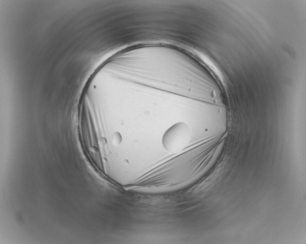 X0000115820951200912111248