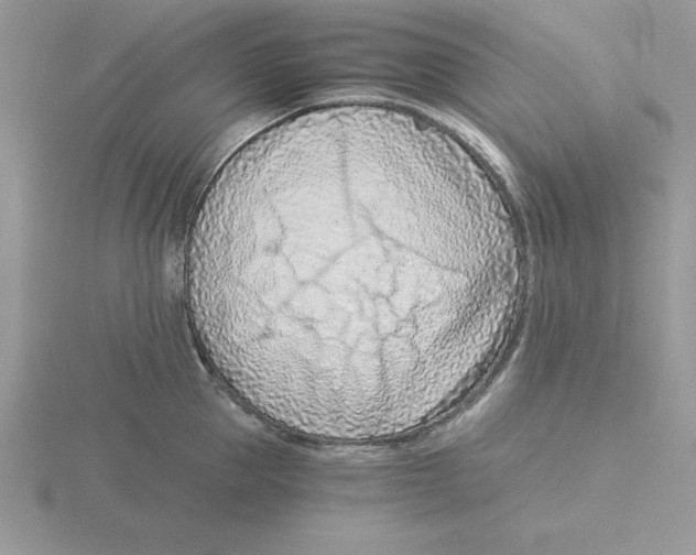 X0000115820953200912111248