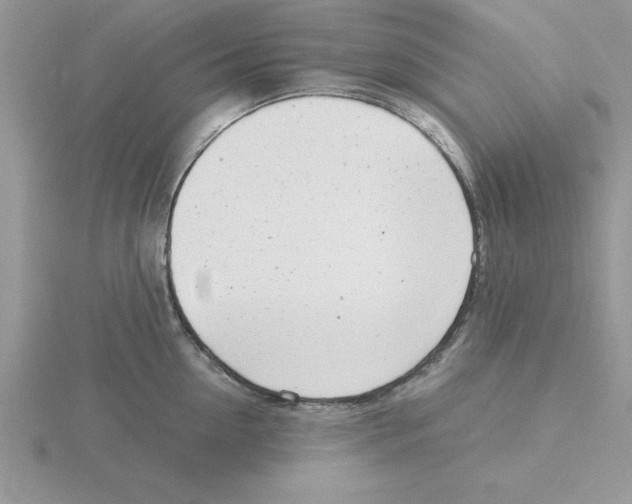 X0000115820954200912111248