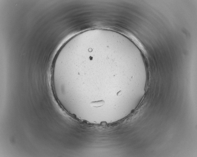 X0000115820955200912111248