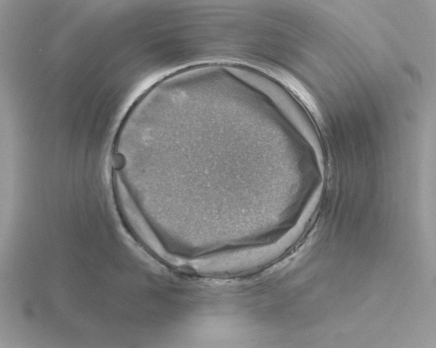 X0000115820958200912111248